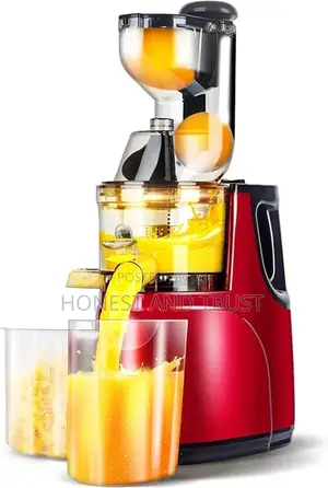 Slow Juicer Juicer