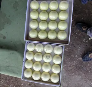 Super White Balls for Pool Table Medium Small Size