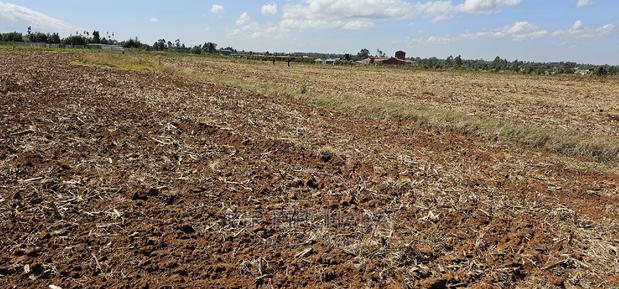 Commercia 1⁄4 Plot for Sale in Kimumu Marura in Eldoret - main view