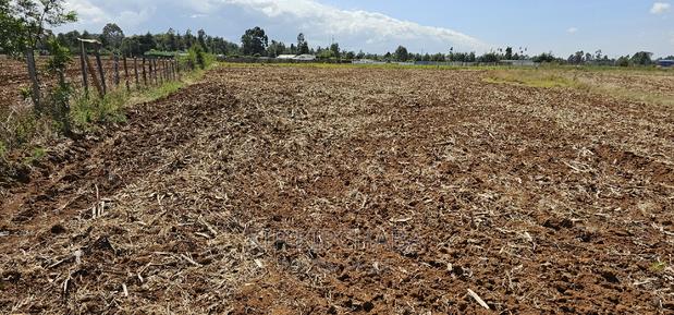 Commercia 1⁄4 Plot for Sale in Kimumu Marura in Eldoret - thumbnail 3