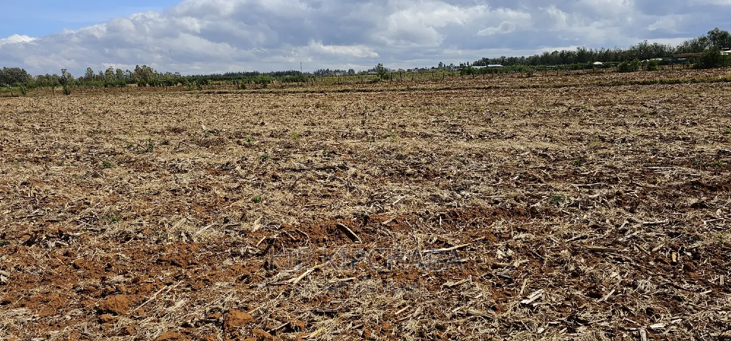 Commercia 1⁄4 Plot for Sale in Kimumu Marura in Eldoret