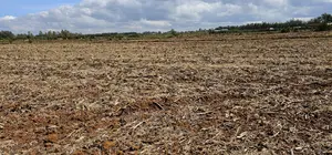 Commercia 1⁄4 Plot for Sale in Kimumu Marura in Eldoret