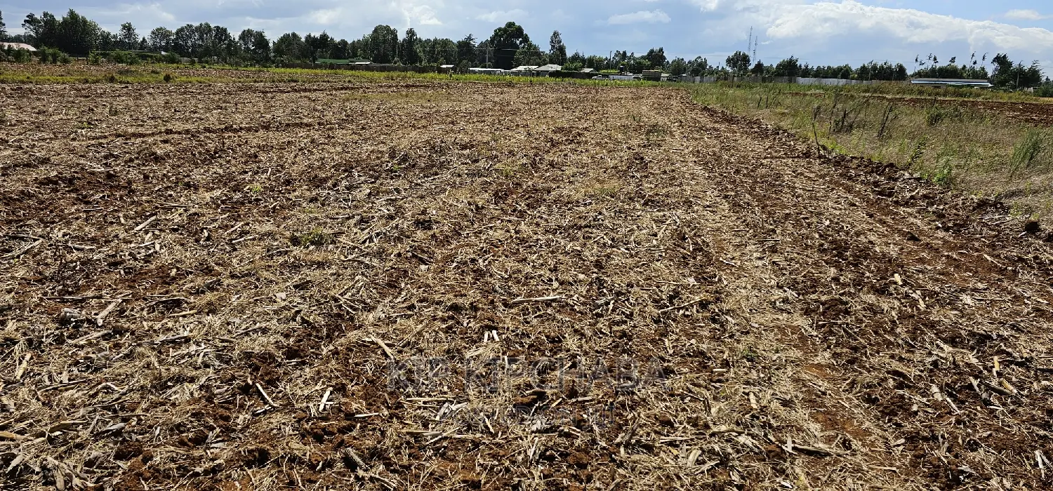 Commercia 1⁄4 Plot for Sale in Kimumu Marura in Eldoret