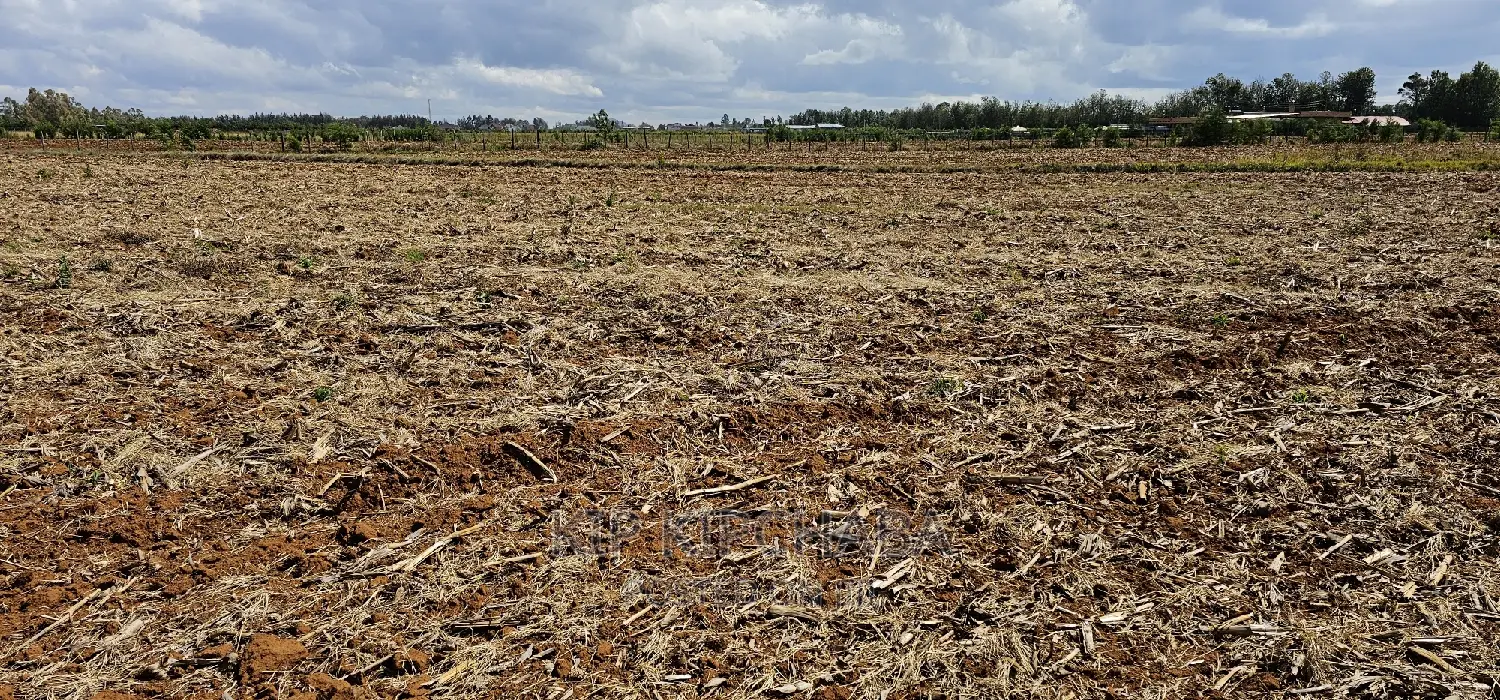 Commercia 1⁄4 Plot for Sale in Kimumu Marura in Eldoret