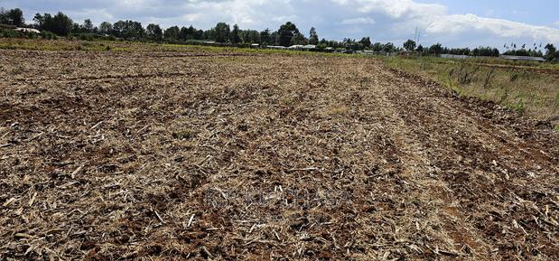 Commercia 1⁄4 Plot for Sale in Kimumu Marura in Eldoret - thumbnail 9