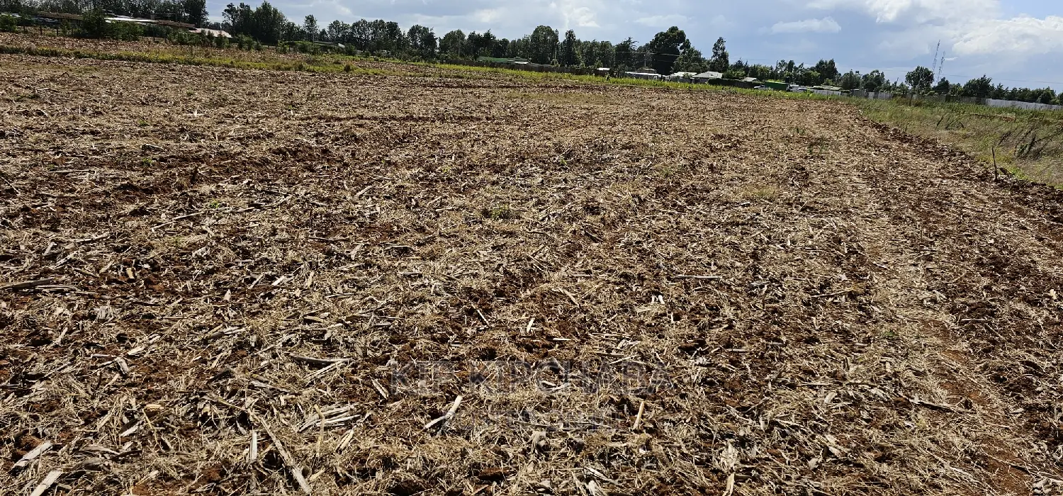 Commercia 1⁄4 Plot for Sale in Kimumu Marura in Eldoret