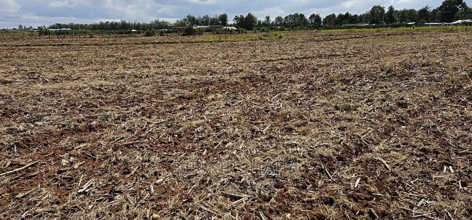 Commercia 1⁄4 Plot for Sale in Kimumu Marura in Eldoret