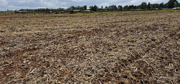 Commercia 1⁄4 Plot for Sale in Kimumu Marura in Eldoret - thumbnail 11