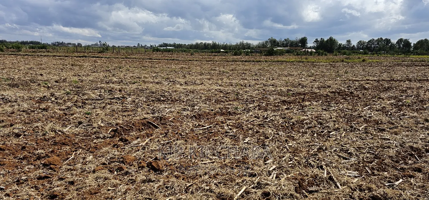 Commercia 1⁄4 Plot for Sale in Kimumu Marura in Eldoret