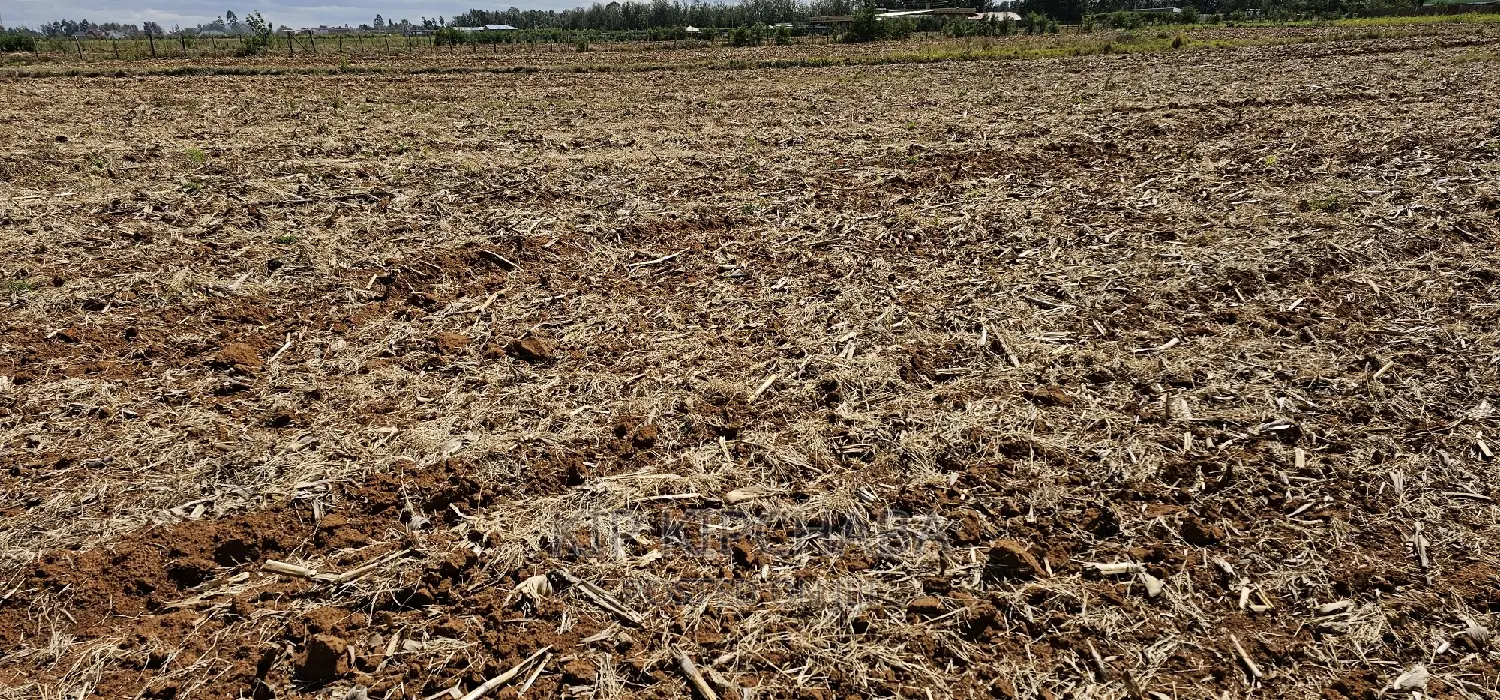 Commercia 1⁄4 Plot for Sale in Kimumu Marura in Eldoret