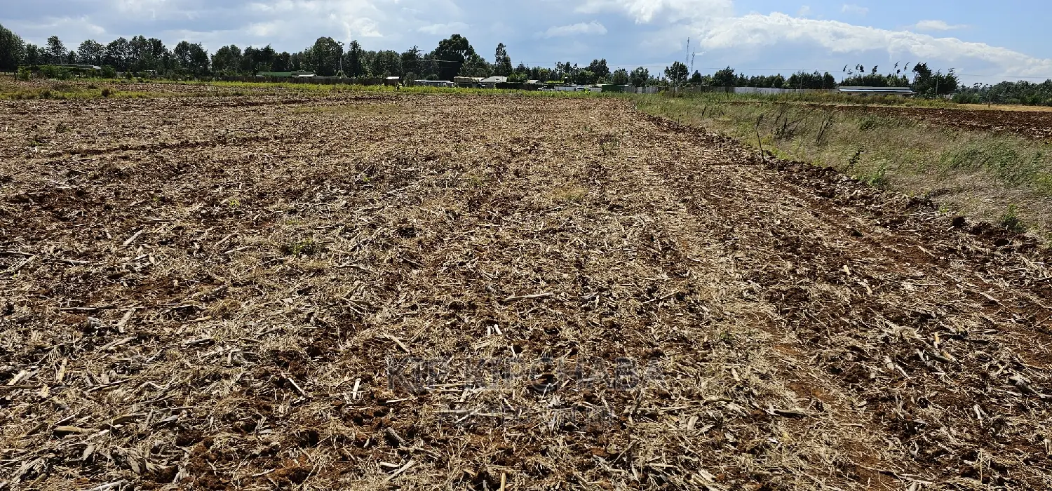 Commercia 1⁄4 Plot for Sale in Kimumu Marura in Eldoret