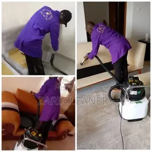 Door To Door Sofa Cleaners Around Garden City