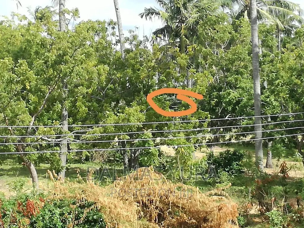 3/4 of an Acre at Dongokundu in Watamu in Watamu Land & Plots for