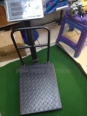 300kgs Digital Platform Weighing Scale