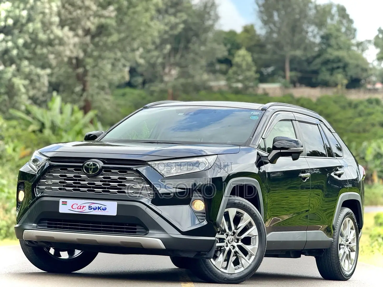 Toyota RAV4 Adventure 2019 Black