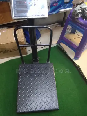 Digital Weighing Scale/Weighing Scale 300kgs