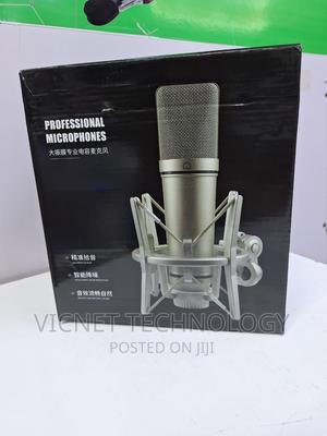 Professional Condenser Studio Microphone - thumbnail 2