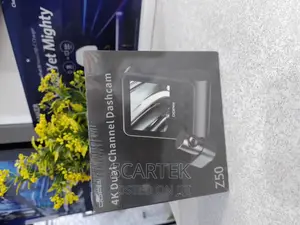Dual Channel Dash Cam