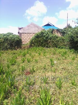 50 by 100 Engineer - thumbnail 2