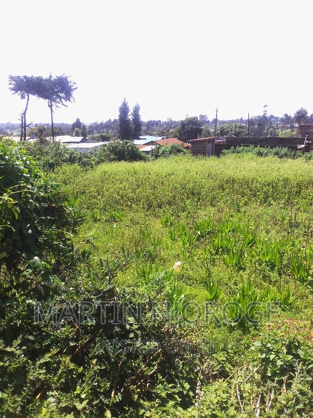 50 by 100 Engineer - thumbnail 3