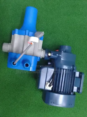 Pedrollo Water Pump With Pump Controller