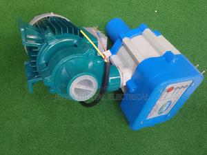 Total Water Pump With Pump Controller - thumbnail 2