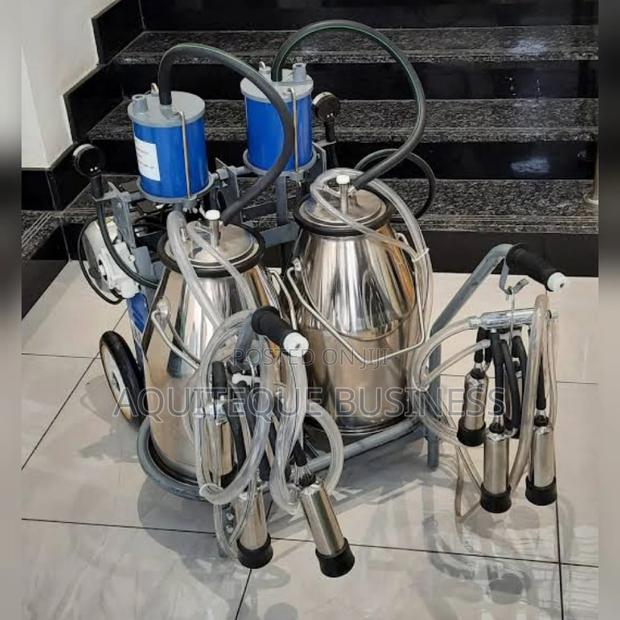 Stainless Double Milking Machine - main view