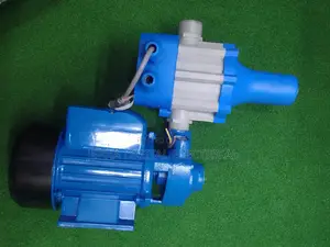Max Polar Water Pump+ Control Switch