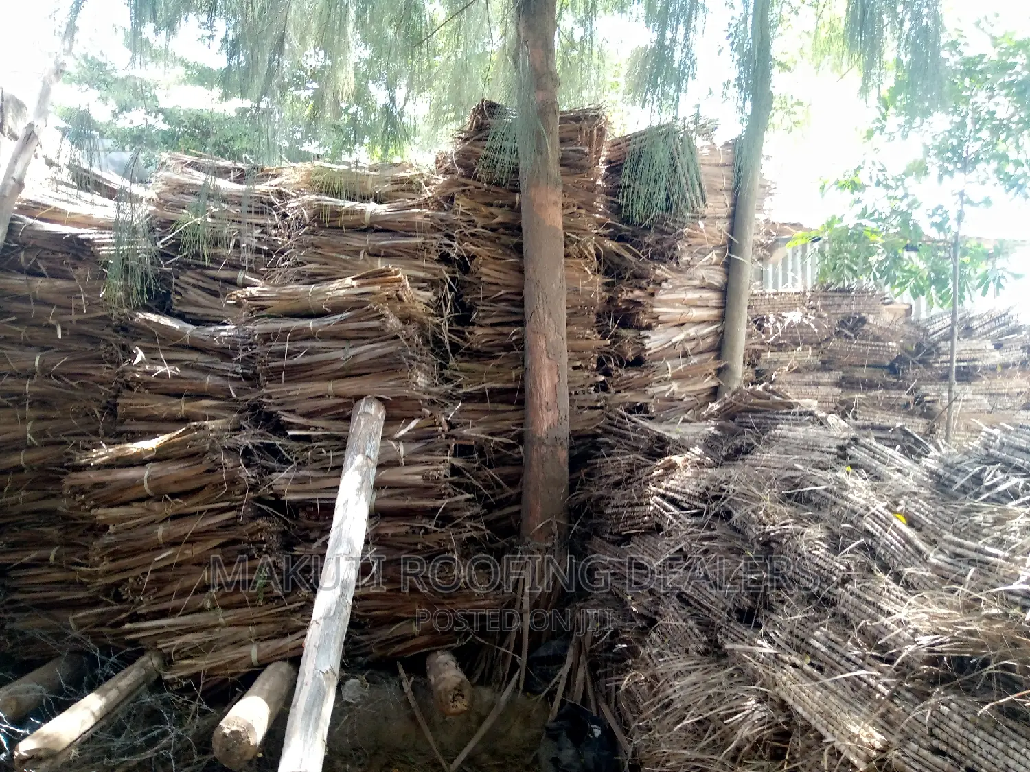 Makuti From Malindi for Sale
