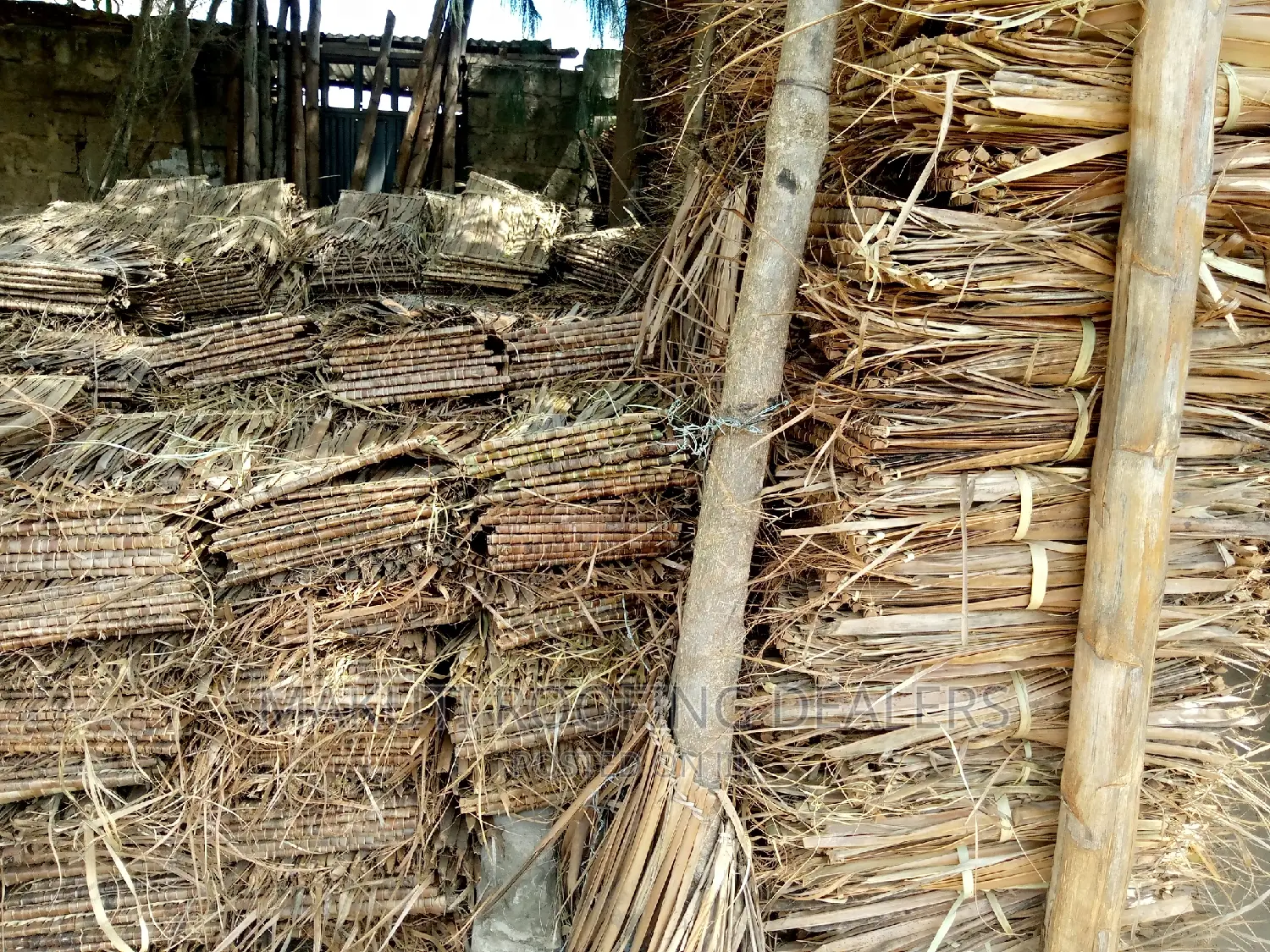 Makuti From Malindi for Sale