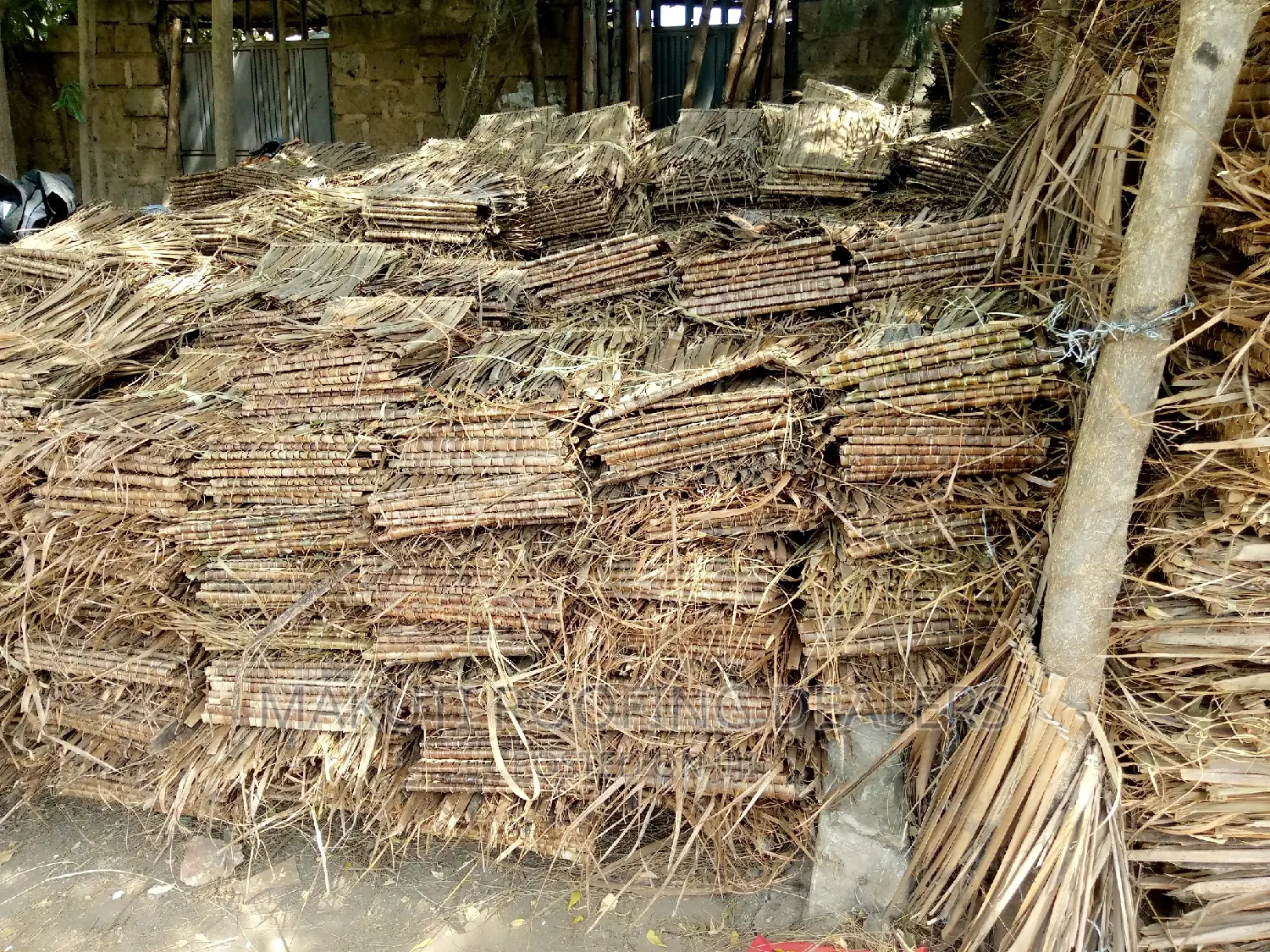 Makuti From Malindi for Sale