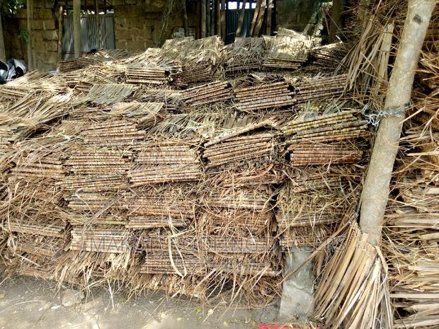 Makuti From Malindi for Sale - main view