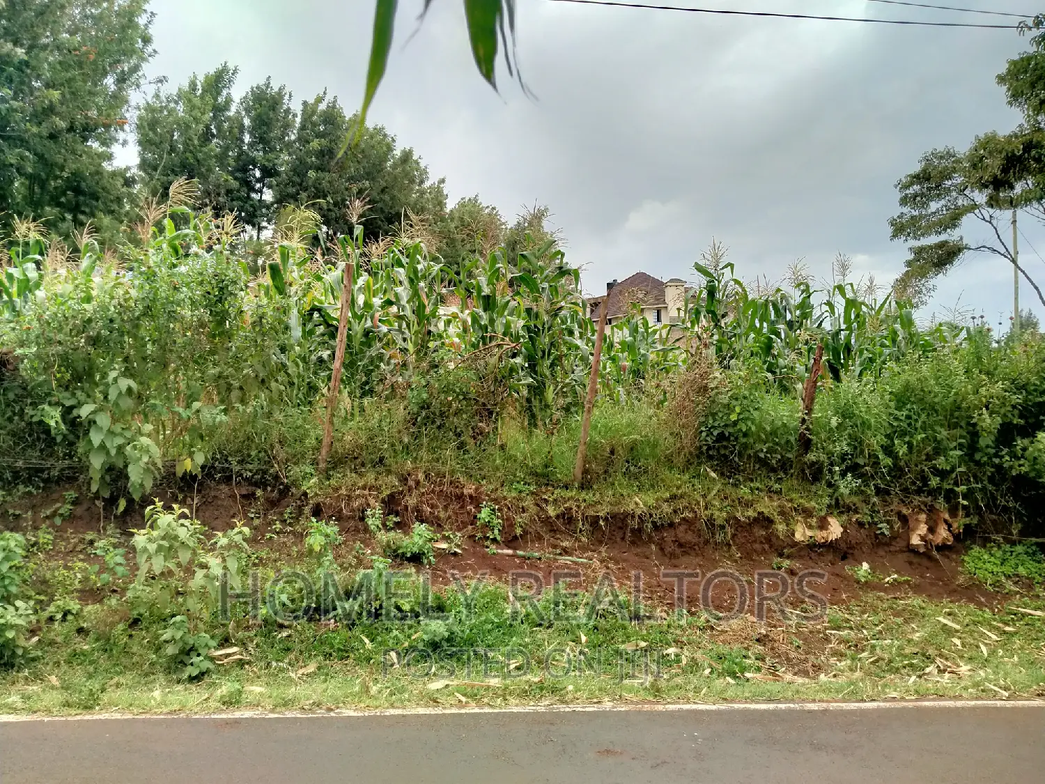 Half-Acre Plot in Ngong, Along Lemiso Rd Touching Tarmac