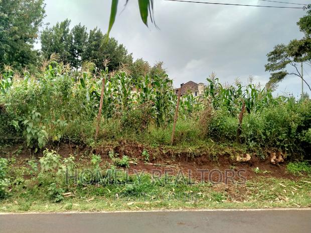 Half-Acre Plot in Ngong, Along Lemiso Rd Touching Tarmac - main view