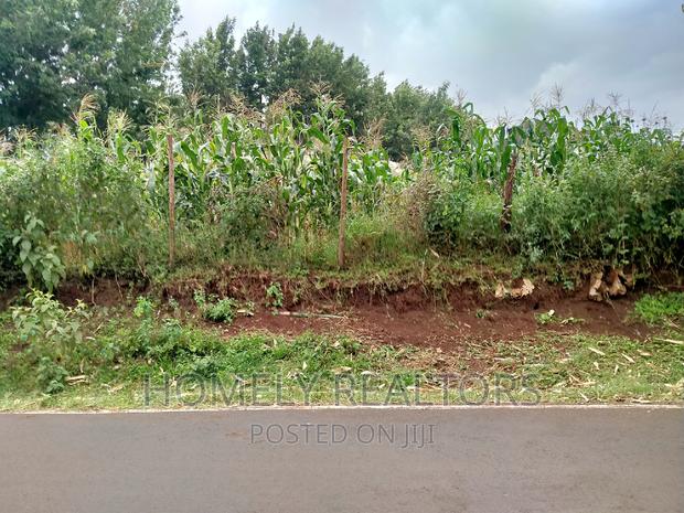 Half-Acre Plot in Ngong, Along Lemiso Rd Touching Tarmac - thumbnail 4