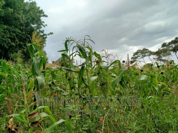 Half-Acre Plot in Ngong, Along Lemiso Rd Touching Tarmac - thumbnail 5