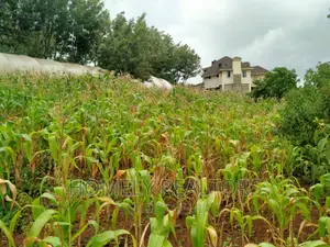 Half-Acre Plot in Ngong, Along Lemiso Rd Touching Tarmac