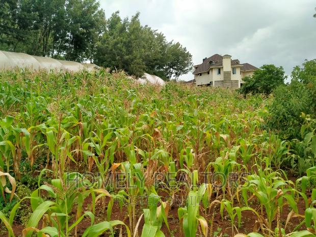 Half-Acre Plot in Ngong, Along Lemiso Rd Touching Tarmac - thumbnail 3