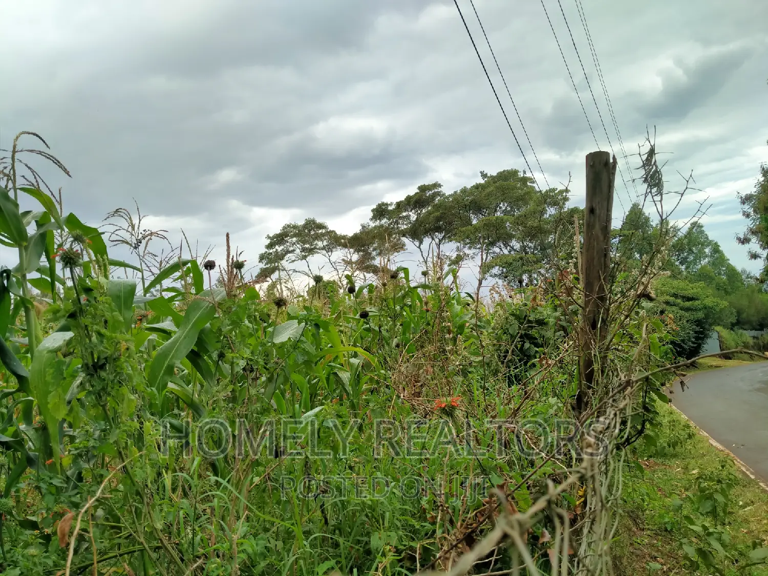 Half-Acre Plot in Ngong, Along Lemiso Rd Touching Tarmac