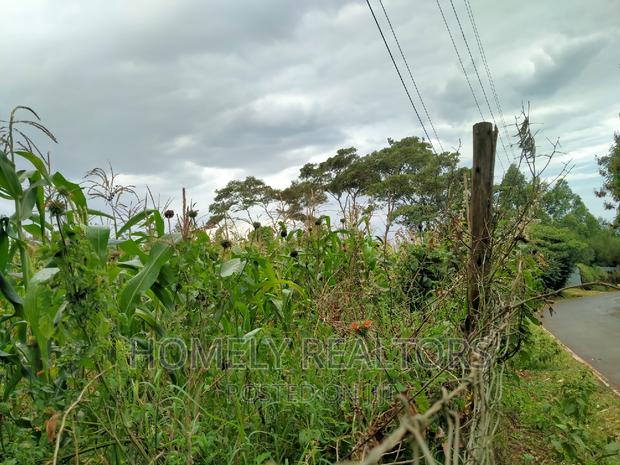 Half-Acre Plot in Ngong, Along Lemiso Rd Touching Tarmac - thumbnail 8