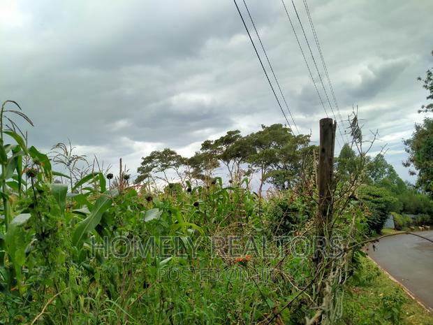 Half-Acre Plot in Ngong, Along Lemiso Rd Touching Tarmac - thumbnail 9