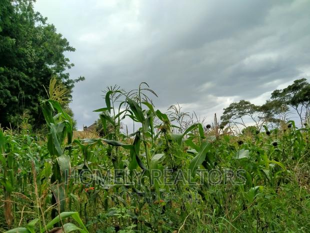 Half-Acre Plot in Ngong, Along Lemiso Rd Touching Tarmac - thumbnail 10