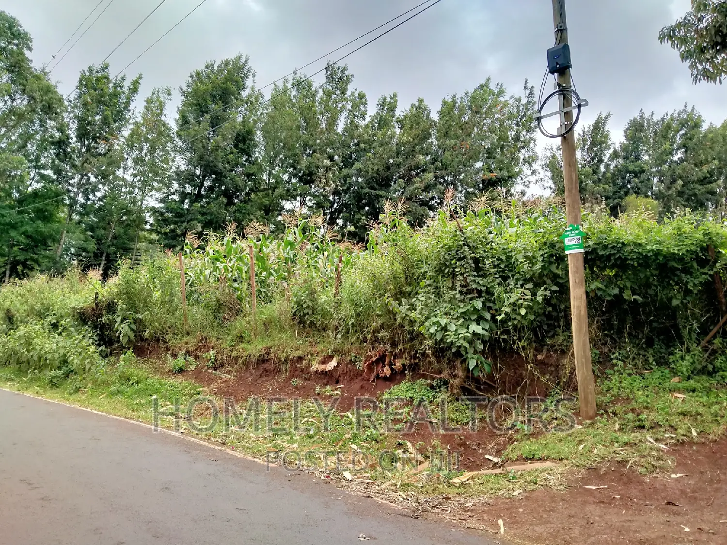 Half-Acre Plot in Ngong, Along Lemiso Rd Touching Tarmac