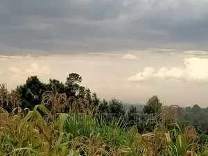 Eighth Acre in Ngong, Maragara Rd. Near Tarmac and Nice View
