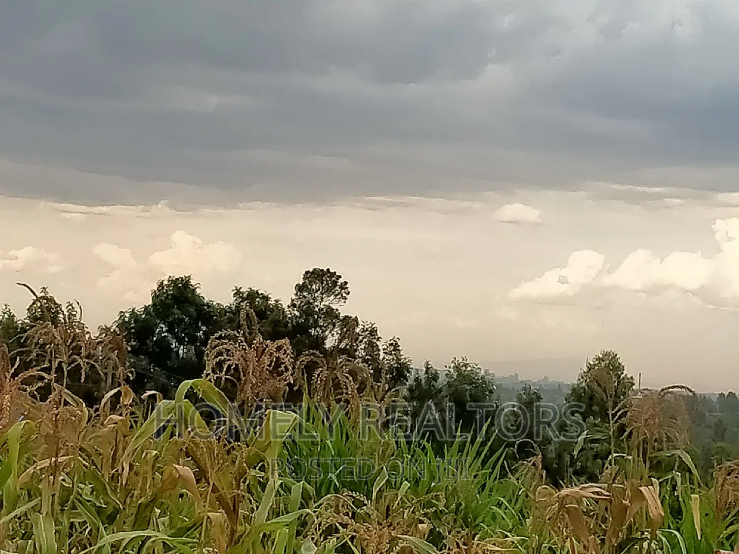 Eighth Acre in Ngong, Maragara Rd. Near Tarmac and Nice View