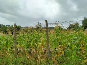 Eighth Acre in Ngong, Maragara Rd. Near Tarmac and Nice View