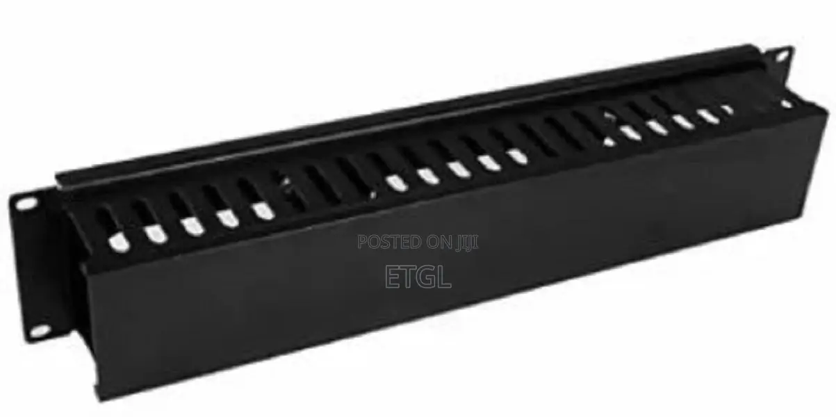 Cable Manager 2U Generic