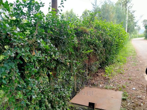 Quarter Acre Plot in Ngong Along Maragara Rd Touching Tarmac - thumbnail 4