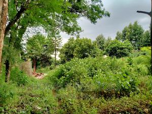 Quarter Acre Plot in Ngong Along Maragara Rd Touching Tarmac - thumbnail 2