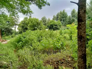 Quarter Acre Plot in Ngong Along Maragara Rd Touching Tarmac